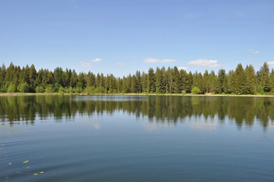 346XX N Regal Ln, Deer Park, WA 99006 - Image #2