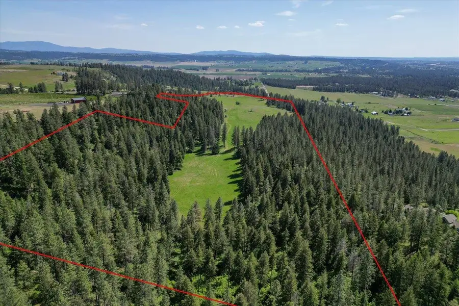 17323 N Lower Greenbluff Rd, Colbert, WA 99005 - Image #3