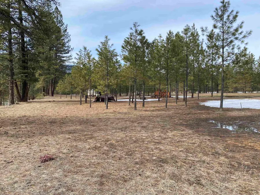 3347 Rockcut Rd, Kettle Falls, WA 99141 - Image #3