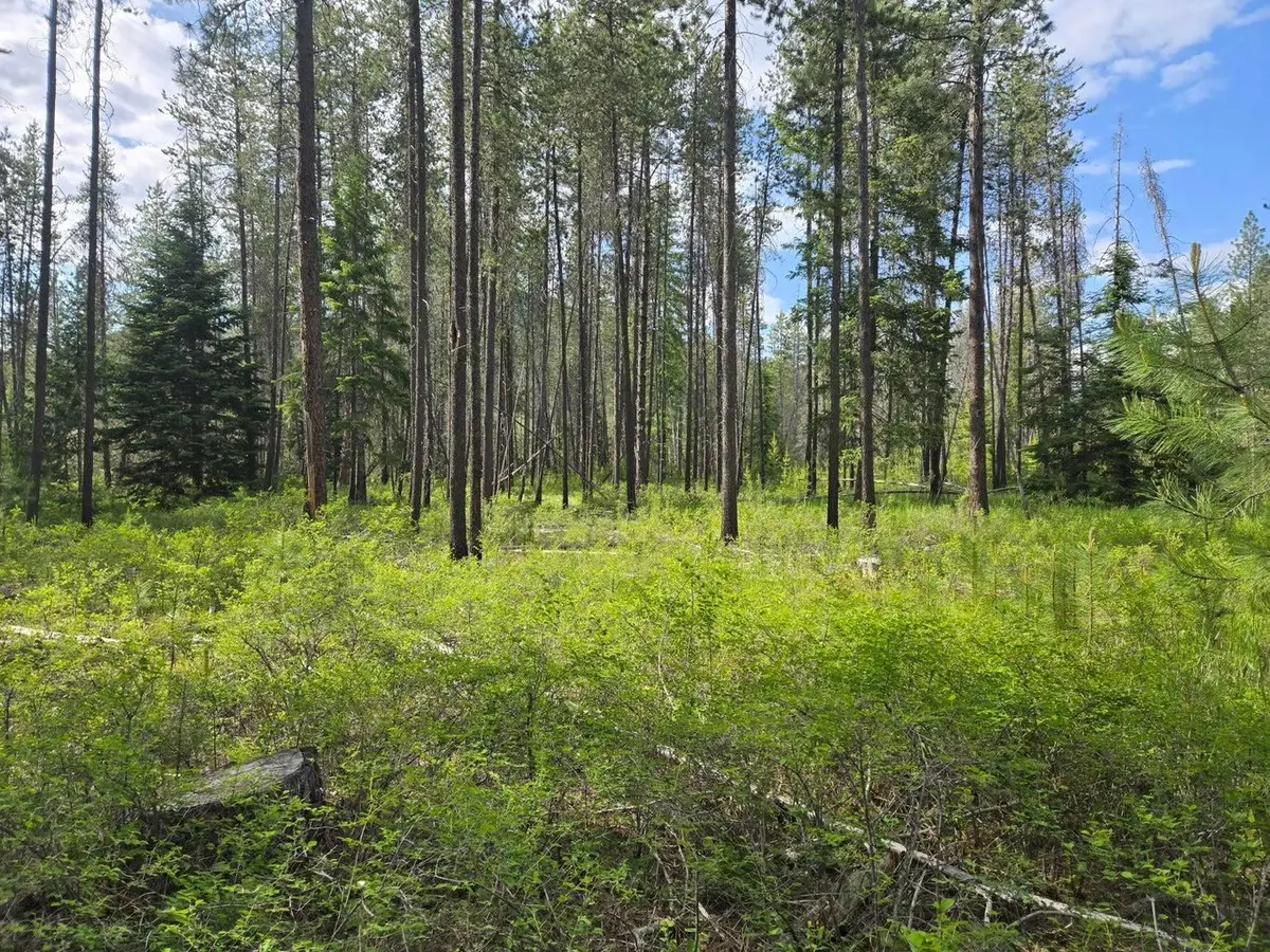 26XX Sand Canyon Lot 2 Rd, Chewelah, WA 99109 - Image #1