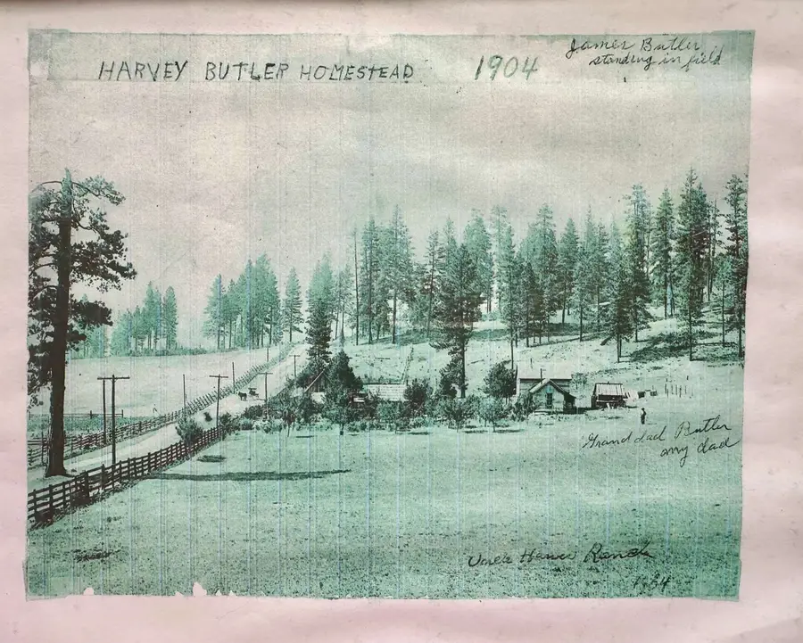 1643 Highway 395 S, Chewelah, WA 99109 - Image #3