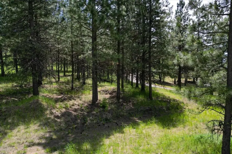 XXXXXX Custer Ln, Spokane, WA 99223 - Image #2