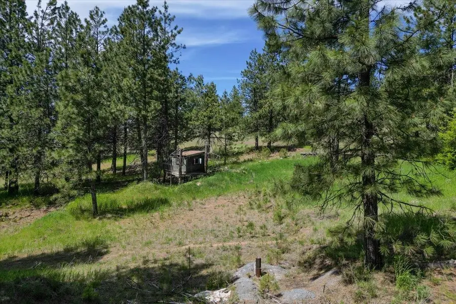 XXXXXX Custer Ln, Spokane, WA 99223 - Image #3