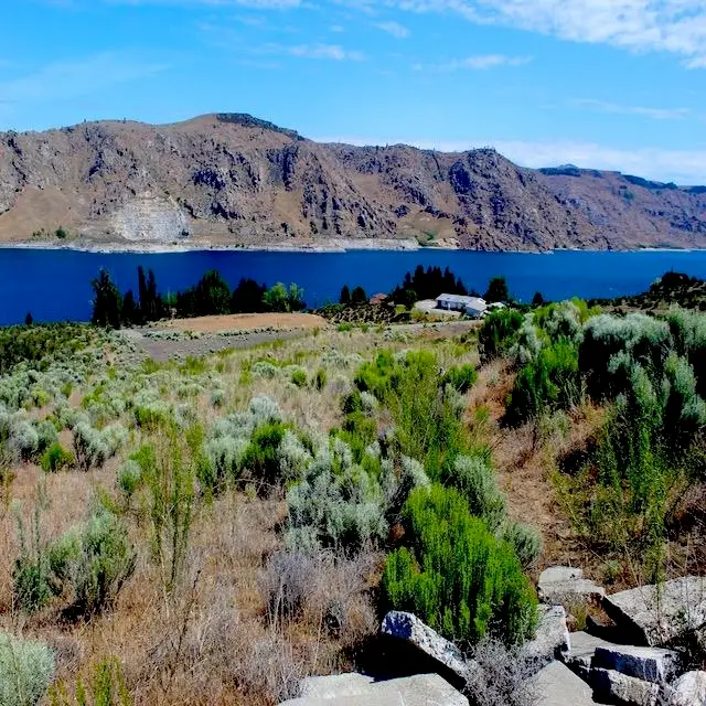 45905 Fdr Estates N Dr, Grand Coulee, WA 99133 - Image #3