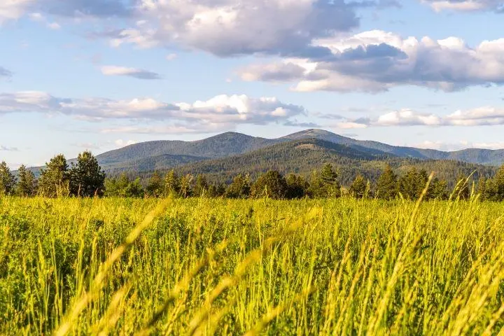 NKA E Day Mt Spokane Rd, Mead, WA 99021 - Image #1