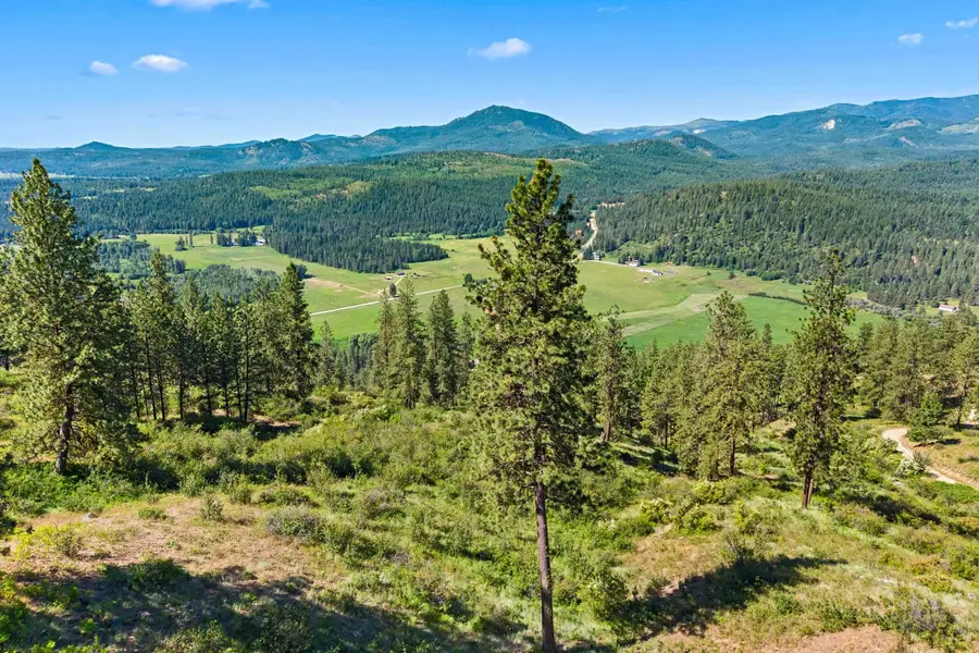 2XXX Wrights Valley Rd, Chewelah, WA 99109 - Image #2