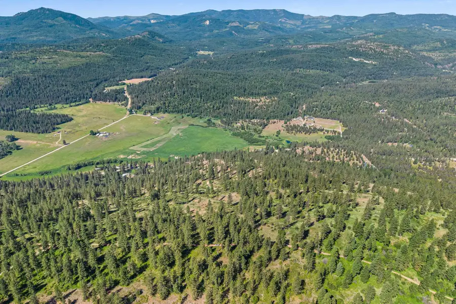 2XXX Wrights Valley Rd, Chewelah, WA 99109 - Image #3