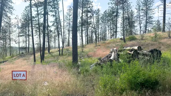 NKA Lower Weaver Lot A Way, Deer Park, WA 99006