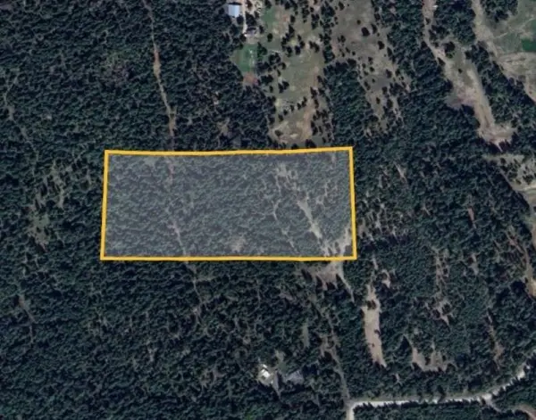 43XX Lumberg Rd, Springdale, WA 99173