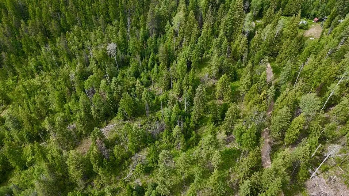 XXXX Cedar Creek Rd, Colville, WA 99114-0000 - Image #1