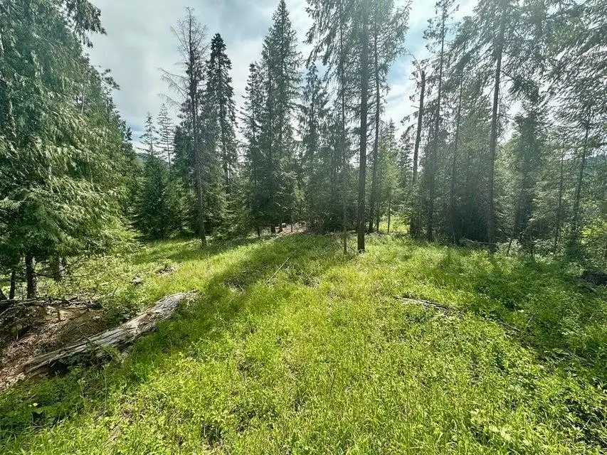 XXXX Cedar Creek Rd, Colville, WA 99114-0000 - Image #3