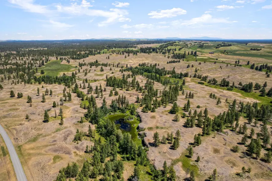27000 Blk S Pine Springs Rd, Cheney, WA 99004 - Image #2
