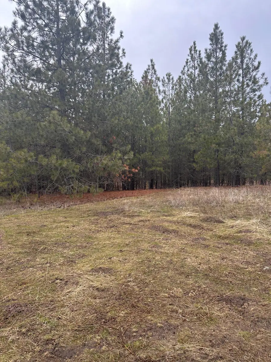 18427 W Burnett Rd, Nine Mile Falls, WA 99026 - #2