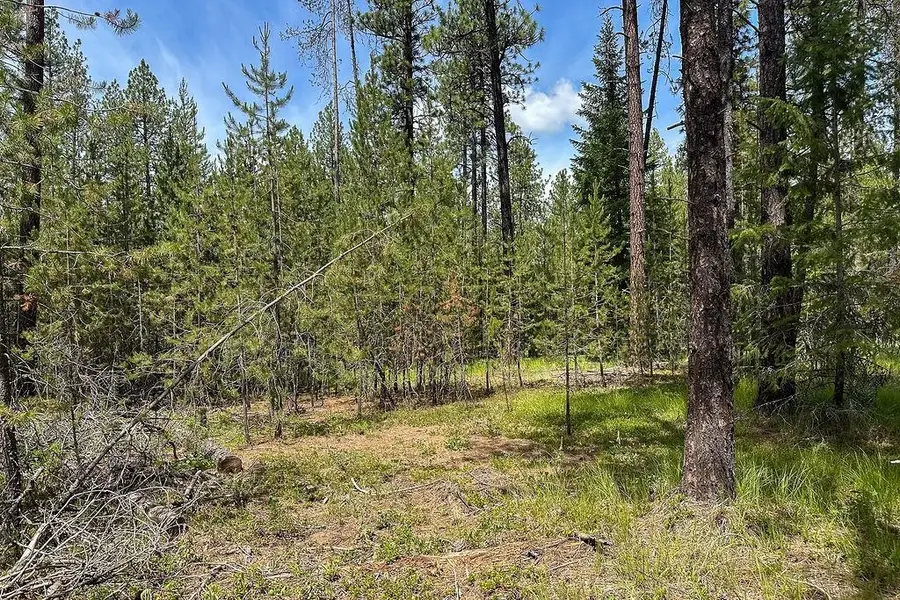 3792 M E Jump Off Rd, Valley, WA 99181 - Image #2