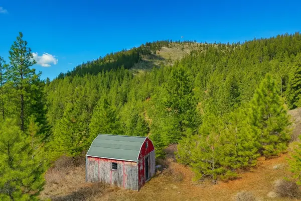 4XXX Ali Vista Way, Loon Lake, WA 99148