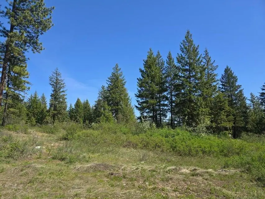 37XX Hill Loop Rd, Kettle Falls, WA 99141-0000 - Image #2