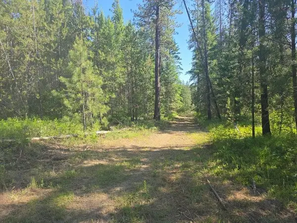 XXX Hwy 395 Hwy, Loon Lake, WA 99148-0000