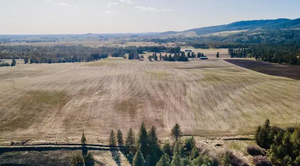 13507 E Gibbs Rd, Mica, WA 99023