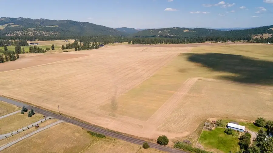 13503 E Gibbs Rd, Mica, WA 99023 - Image #2