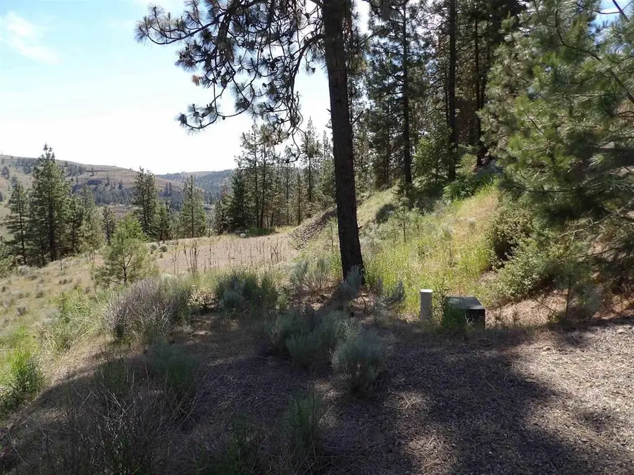 Lot 2 Chukar Short Plat Ln, Davenport, WA 99122 - Image #2