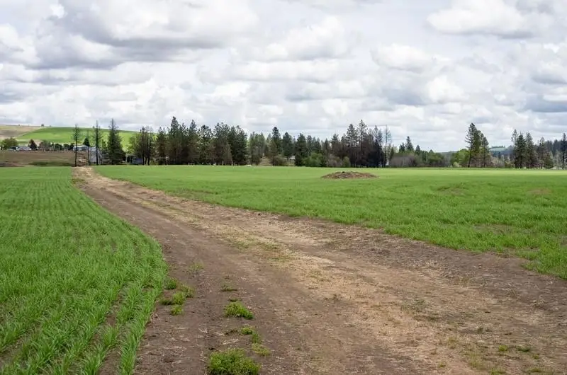 NKA Lambridge Lane Lot 4 Ln, Medical Lake, WA 99022 - Image #1