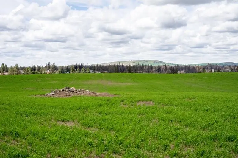 NKA Lambridge Lane Lot 4 Ln, Medical Lake, WA 99022 - Image #3