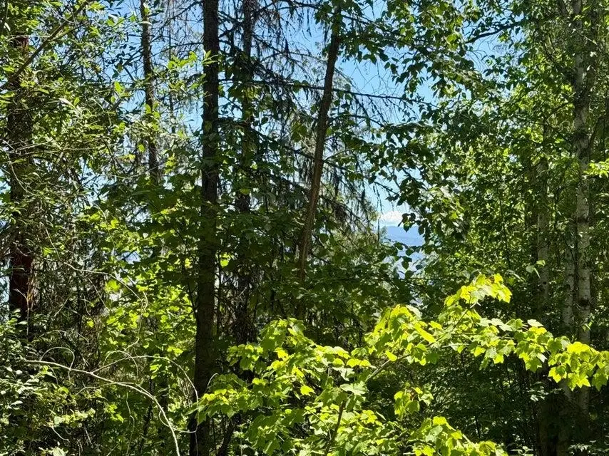 TBD Perelandra Lot 36,37,41 Cir, Other, WA 99121 - #1