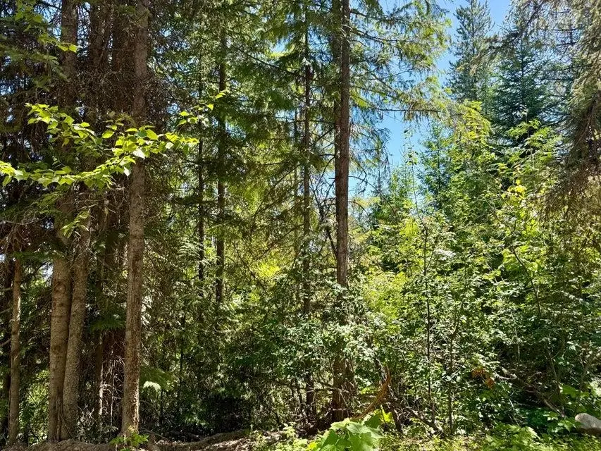 TBD Perelandra Cir, Other, WA 99121 - #3