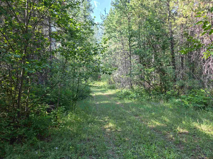 71 Hearts Delight Ln, Newport, WA 99156 - Image #2