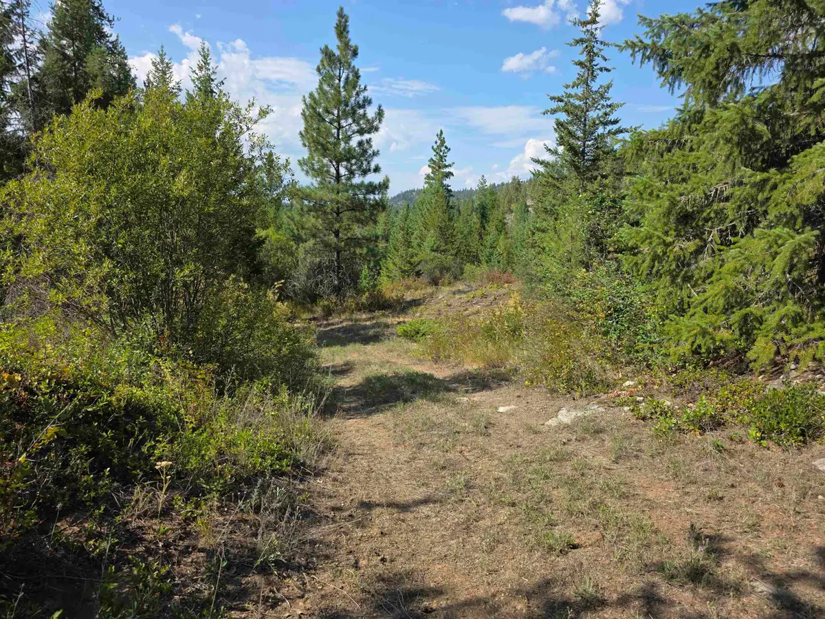 251 Hearts Delight Ln, Newport, WA 99156 - Image #1