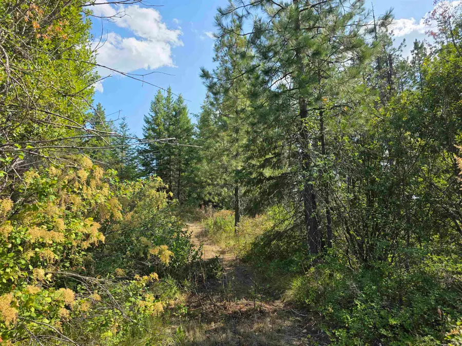 251 Hearts Delight Ln, Newport, WA 99156 - Image #2