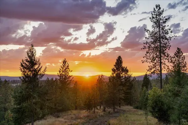 5855 Weaver Parcels C & D Rd, Deer Park, WA 99006