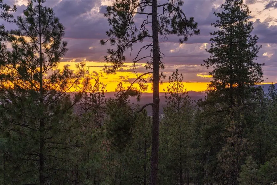 5855 Weaver Parcels C & D Rd, Deer Park, WA 99006 - Image #3