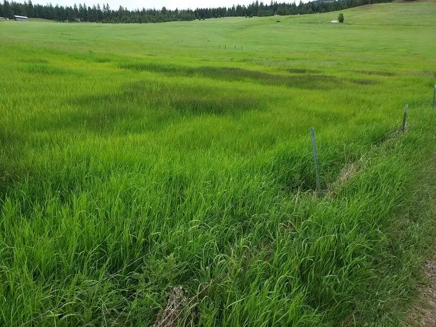 47 Old Ranch House Rd, Republic, WA 99166-0000 - Image #2