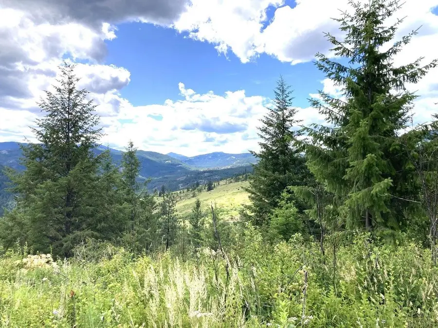 #T Buffy Ln, Inchelium, WA 99138 - Image #2