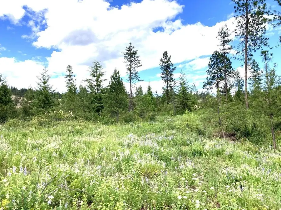 #T Buffy Ln, Inchelium, WA 99138 - Image #3