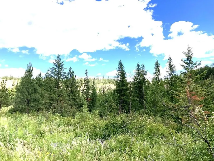 #U Buffy Ln, Inchelium, WA 99138 - Image #3