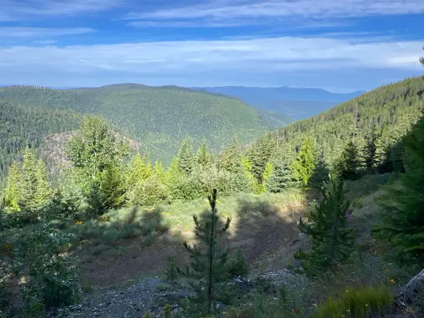 NKA Frisco Standard Rd, Colville, WA 99114