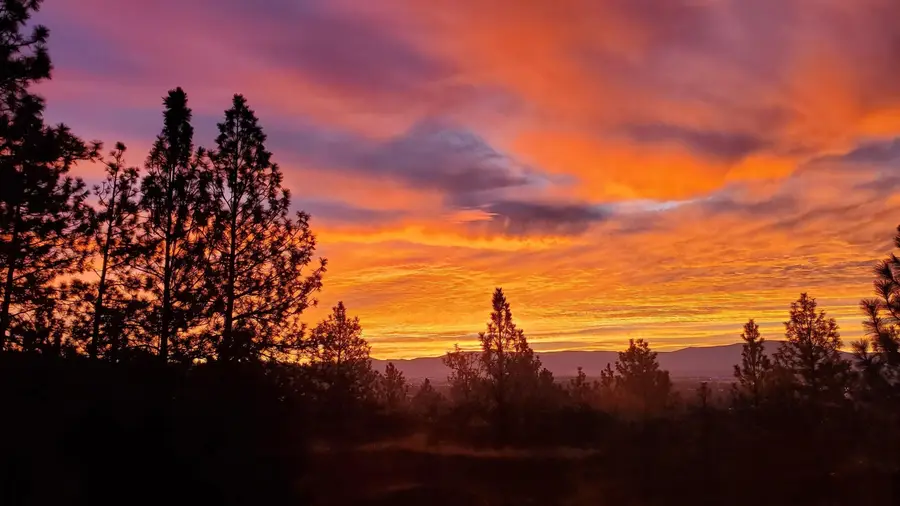 4926 N Northwood Dr, Spokane, WA 99212 - Image #3