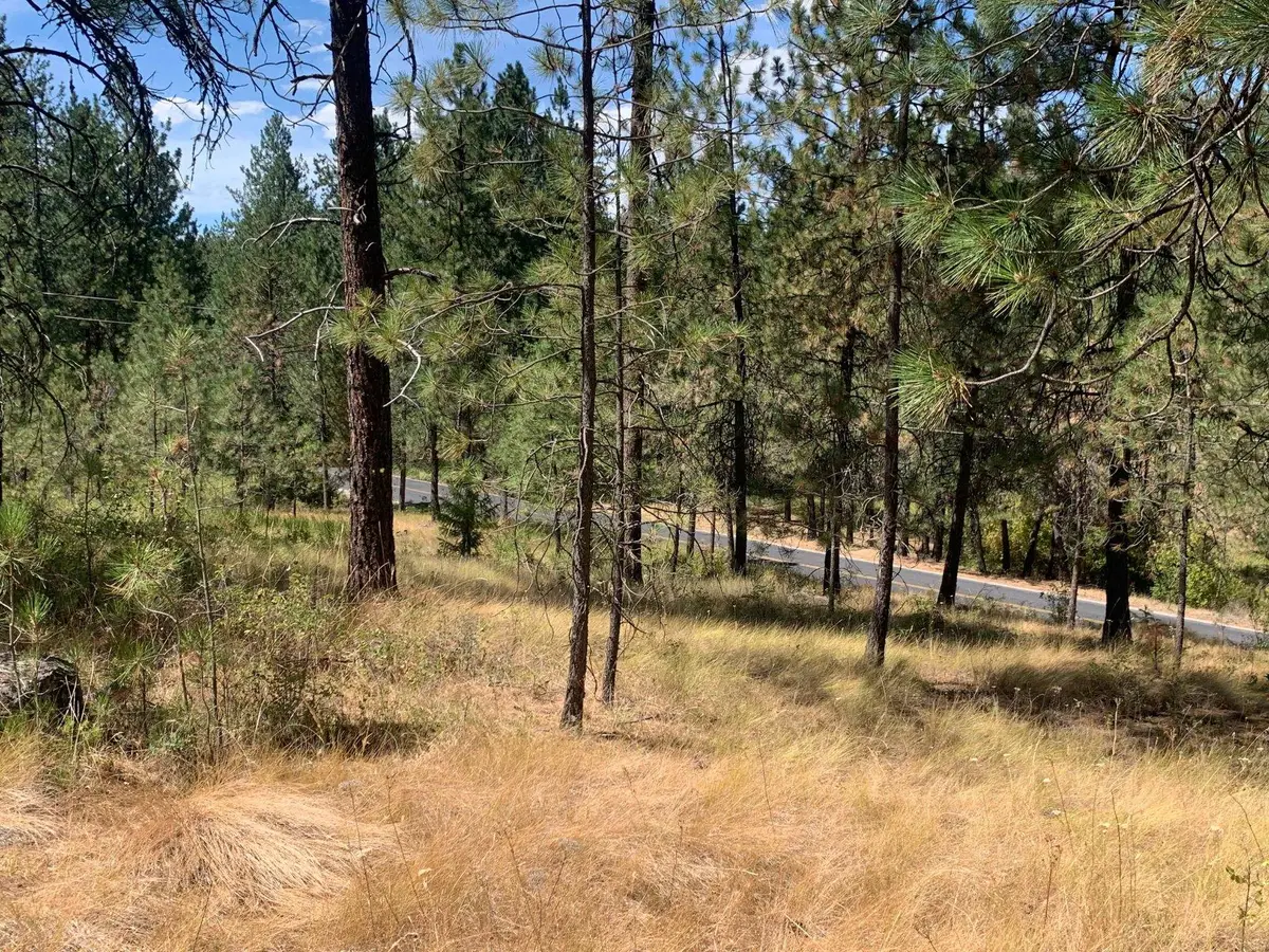 160xx N Austin Rd, Spokane, WA 99208 - Image #1