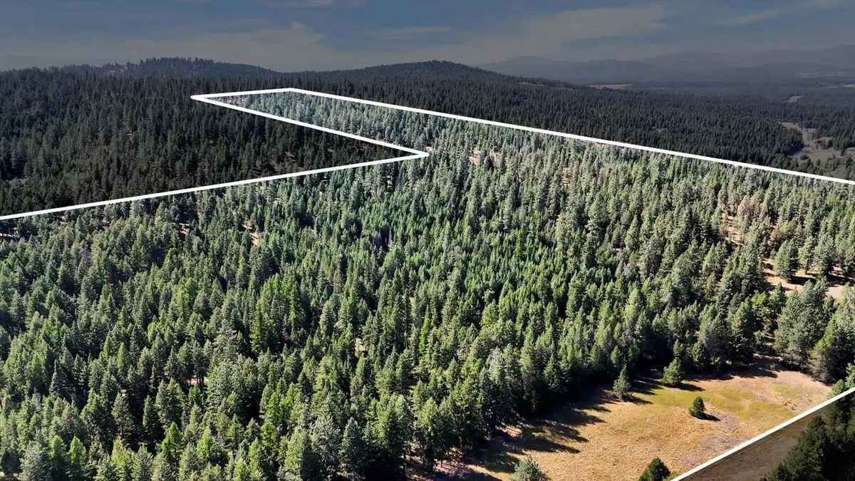 NKA E Laurel Rd, Chattaroy, WA 99003 - Image #1