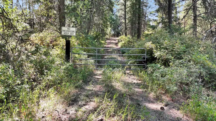 NKA E Laurel Rd, Chattaroy, WA 99003 - Image #2