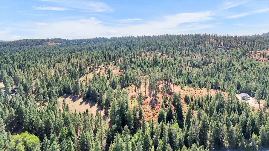 NKA E Laurel Rd, Chattaroy, WA 99003 - Image #3