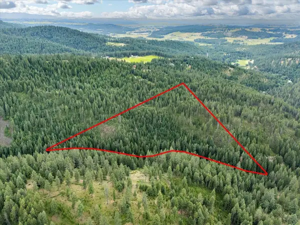 19960 N Mt Spokane Park Dr, Mead, WA 99021