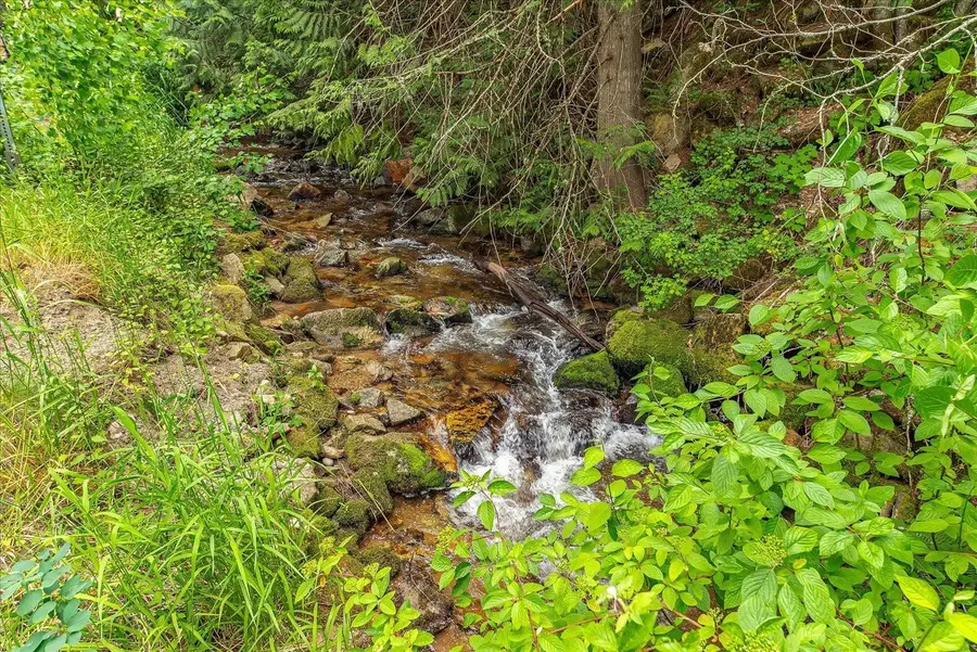 19970 N Mt Spokane Park Dr, Mead, WA 99021 - #2