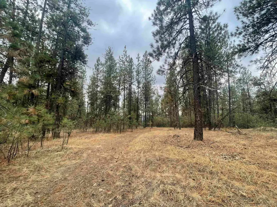 NKA Rocky Top Way, Deer Park, WA 99006 - Image #2