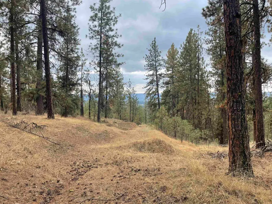 NKA Rocky Top Way, Deer Park, WA 99006 - Image #3