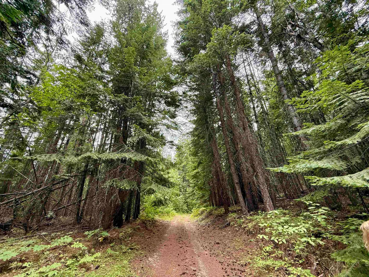 0 Bergen Rd, Newport, WA 99156 - Image #1