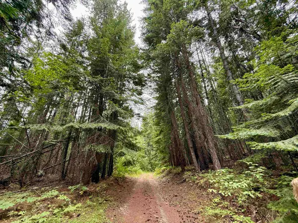 0 Bergen Rd, Newport, WA 99156