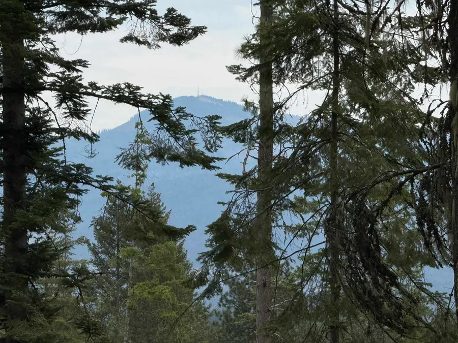 0 Bergen Rd, Newport, WA 99156 - Image #2